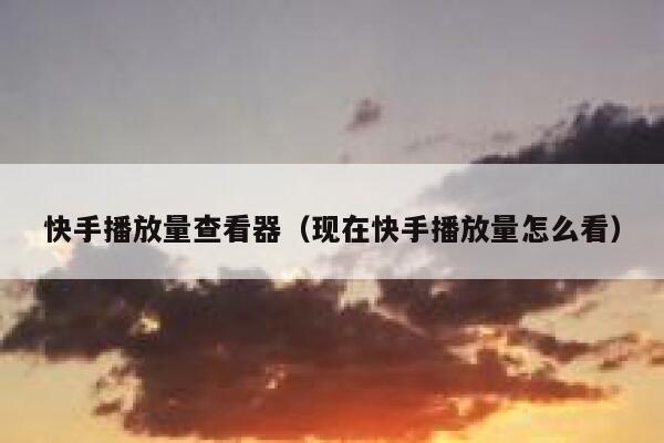 快手播放量查看器（现在快手播放量怎么看） 第1张