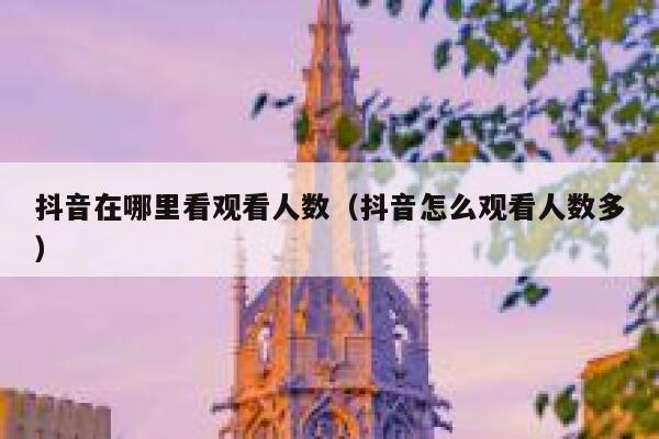 抖音在哪里看观看人数（抖音怎么观看人数多） 第1张