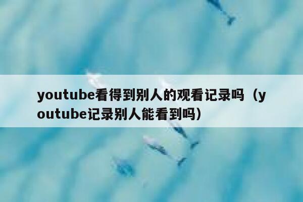 youtube看得到别人的观看记录吗（youtube记录别人能看到吗） 第1张