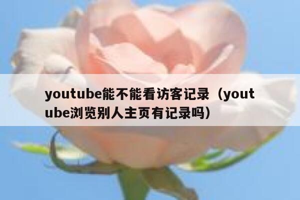 youtube能不能看访客记录（youtube浏览别人主页有记录吗） 第1张