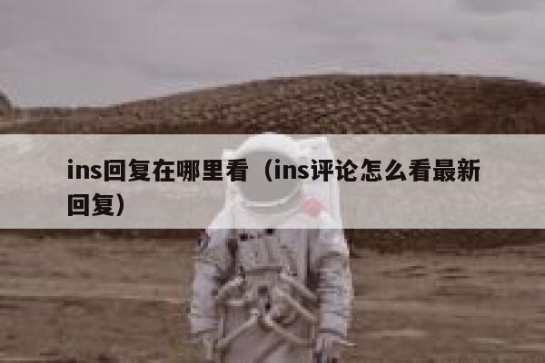 ins回复在哪里看（ins评论怎么看最新回复） 第1张
