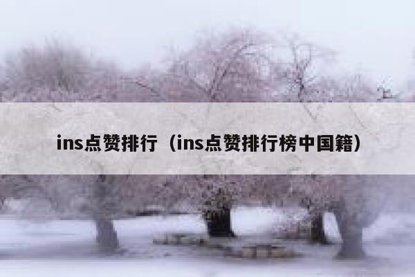 ins点赞排行（ins点赞排行榜中国籍） 第1张