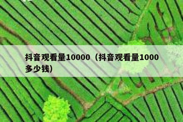 抖音观看量10000（抖音观看量1000多少钱） 第1张