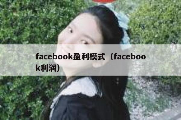 facebook盈利模式（facebook利润） 第1张