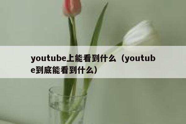 youtube上能看到什么（youtube到底能看到什么） 第1张
