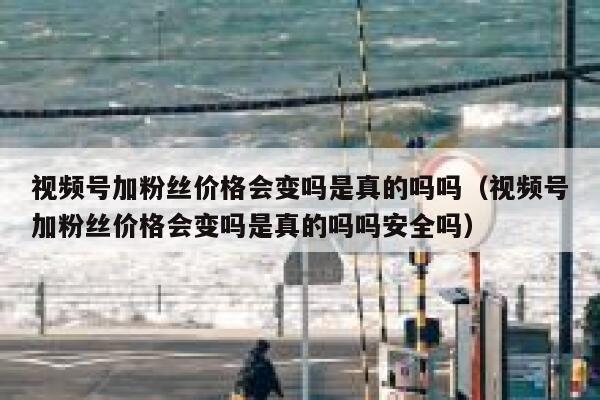 视频号加粉丝价格会变吗是真的吗吗（视频号加粉丝价格会变吗是真的吗吗安全吗） 第1张