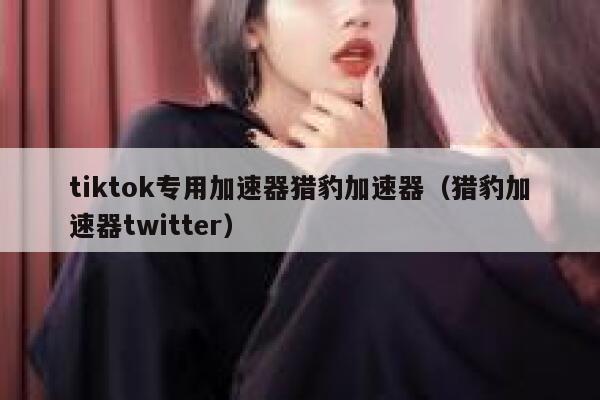tiktok专用加速器猎豹加速器（猎豹加速器twitter） 第1张