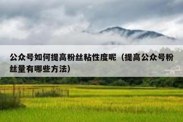 公众号如何提高粉丝粘性度呢（提高公众号粉丝量有哪些方法） 第1张