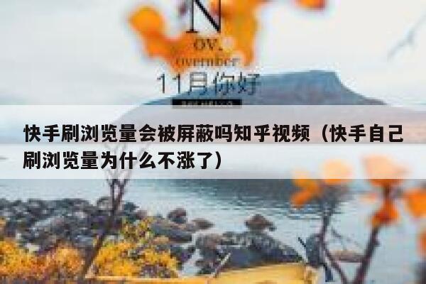 快手刷浏览量会被屏蔽吗知乎视频（快手自己刷浏览量为什么不涨了） 第1张