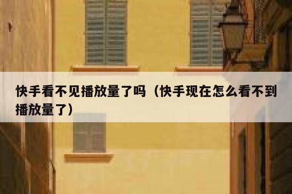 快手看不见播放量了吗（快手现在怎么看不到播放量了） 第1张