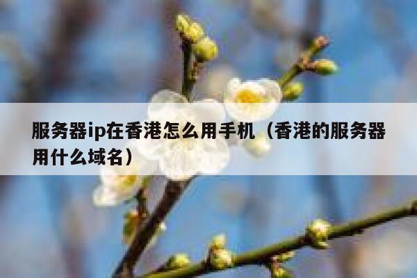 服务器ip在香港怎么用手机（香港的服务器用什么域名） 第1张