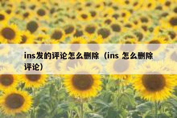 ins发的评论怎么删除（ins 怎么删除评论） 第1张