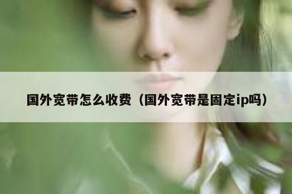 国外宽带怎么收费（国外宽带是固定ip吗） 第1张