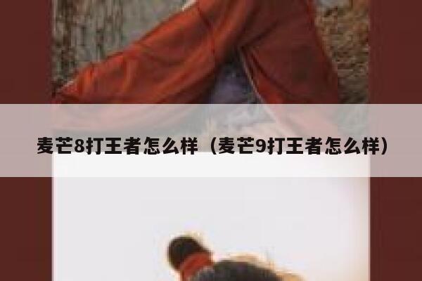 麦芒8打王者怎么样（麦芒9打王者怎么样） 第1张