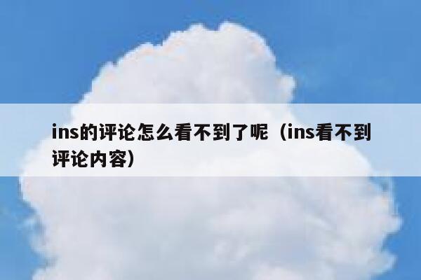 ins的评论怎么看不到了呢（ins看不到评论内容） 第1张