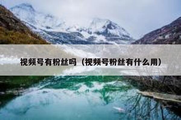 视频号有粉丝吗（视频号粉丝有什么用） 第1张