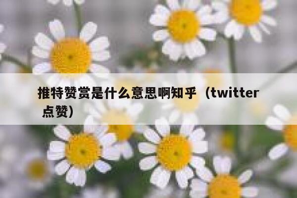 推特赞赏是什么意思啊知乎（twitter 点赞） 第1张