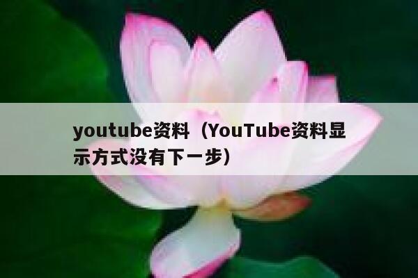 youtube资料（YouTube资料显示方式没有下一步） 第1张