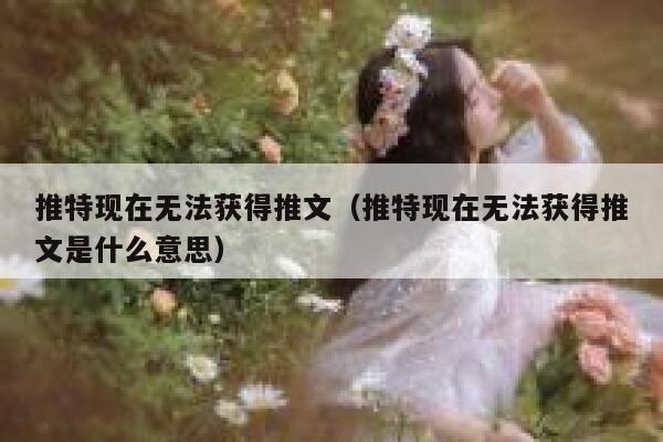 推特现在无法获得推文（推特现在无法获得推文是什么意思） 第1张
