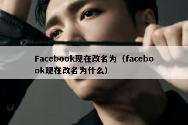 Facebook现在改名为（facebook现在改名为什么） 第1张