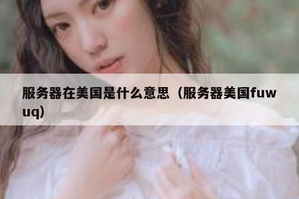 服务器在美国是什么意思（服务器美国fuwuq） 第1张