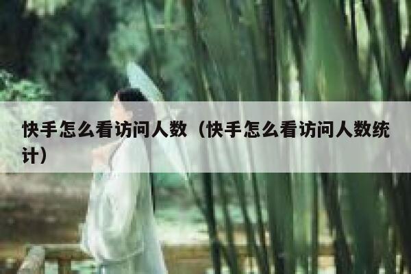 快手怎么看访问人数（快手怎么看访问人数统计） 第1张