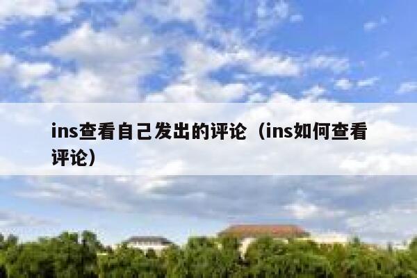 ins查看自己发出的评论（ins如何查看评论） 第1张