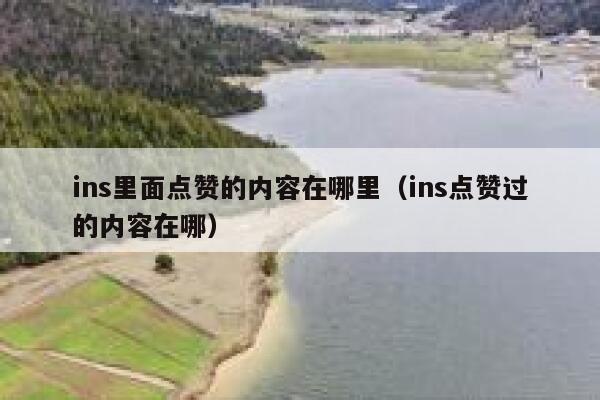 ins里面点赞的内容在哪里（ins点赞过的内容在哪） 第1张