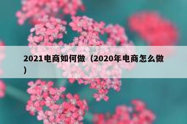 2021电商如何做（2020年电商怎么做） 第1张