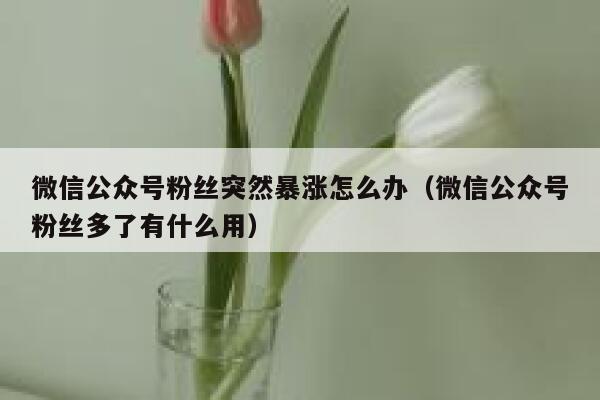 微信公众号粉丝突然暴涨怎么办（微信公众号粉丝多了有什么用） 第1张