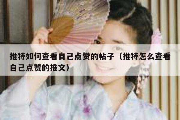 推特如何查看自己点赞的帖子（推特怎么查看自己点赞的推文） 第1张