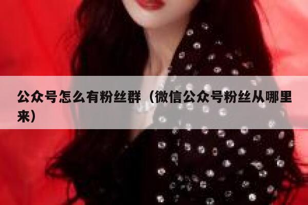 公众号怎么有粉丝群（微信公众号粉丝从哪里来） 第1张