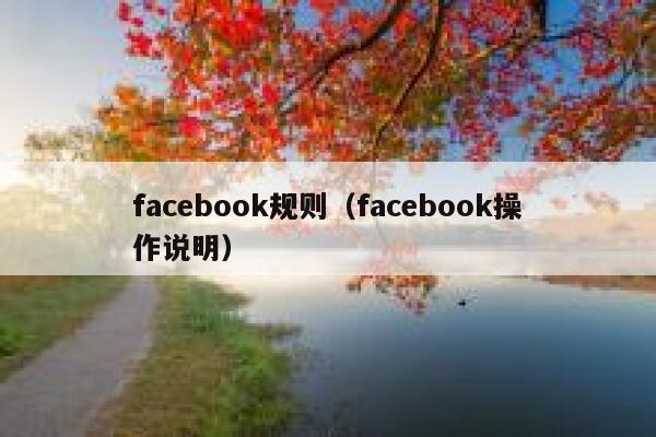 facebook规则（facebook操作说明） 第1张