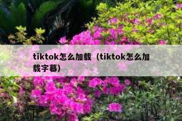 tiktok怎么加载（tiktok怎么加载字幕） 第1张