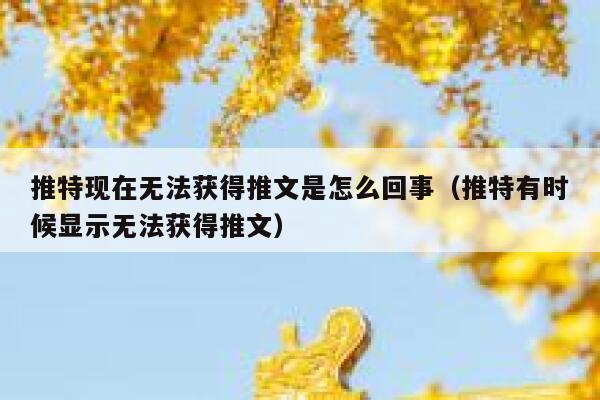 推特现在无法获得推文是怎么回事（推特有时候显示无法获得推文） 第1张