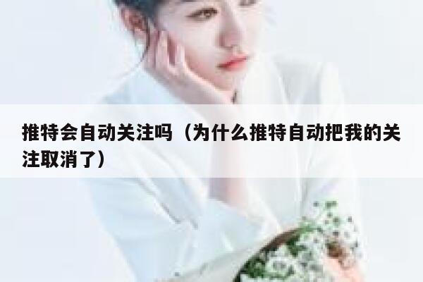 推特会自动关注吗（为什么推特自动把我的关注取消了） 第1张