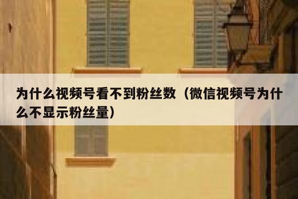 为什么视频号看不到粉丝数（微信视频号为什么不显示粉丝量） 第1张