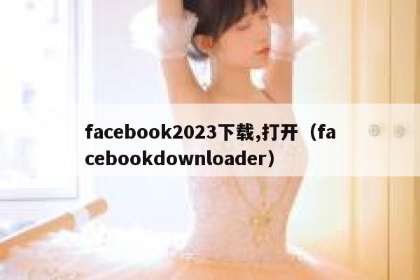 facebook2023下载,打开（facebookdownloader） 第1张