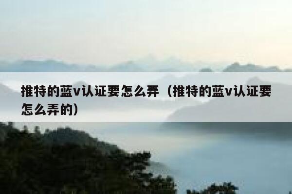 推特的蓝v认证要怎么弄（推特的蓝v认证要怎么弄的） 第1张