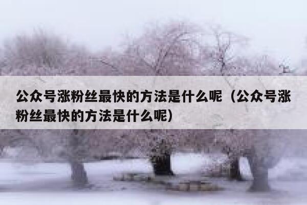 公众号涨粉丝最快的方法是什么呢（公众号涨粉丝最快的方法是什么呢） 第1张