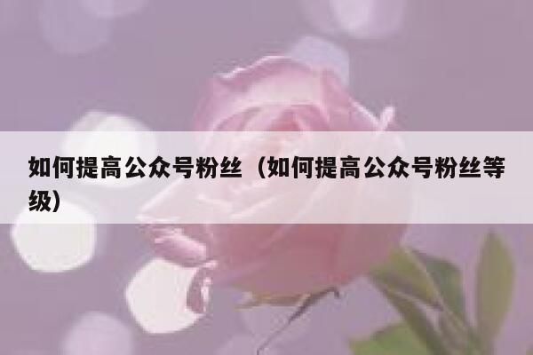 如何提高公众号粉丝（如何提高公众号粉丝等级） 第1张