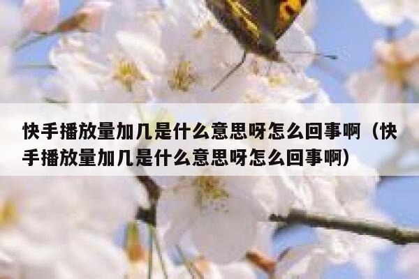 快手播放量加几是什么意思呀怎么回事啊（快手播放量加几是什么意思呀怎么回事啊） 第1张