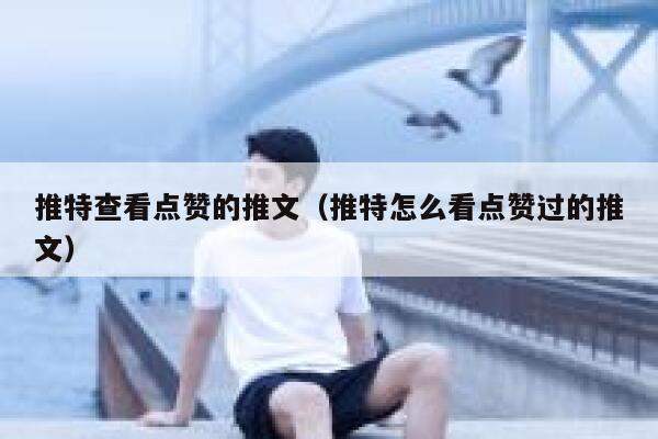 推特查看点赞的推文（推特怎么看点赞过的推文） 第1张