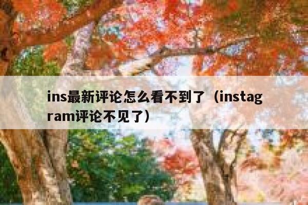 ins最新评论怎么看不到了（instagram评论不见了） 第1张