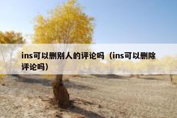 ins可以删别人的评论吗（ins可以删除评论吗） 第1张