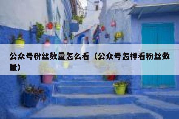 公众号粉丝数量怎么看（公众号怎样看粉丝数量） 第1张