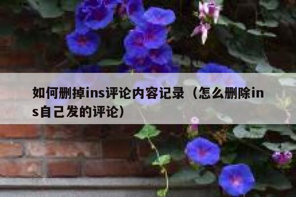 如何删掉ins评论内容记录（怎么删除ins自己发的评论） 第1张