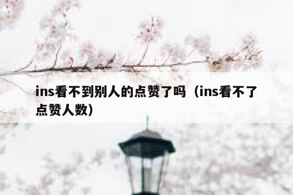 ins看不到别人的点赞了吗（ins看不了点赞人数） 第1张