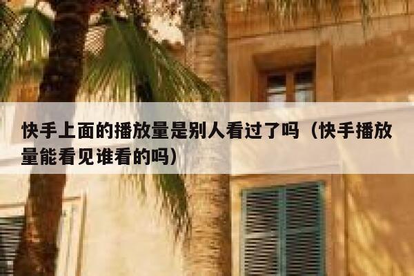 快手上面的播放量是别人看过了吗（快手播放量能看见谁看的吗） 第1张
