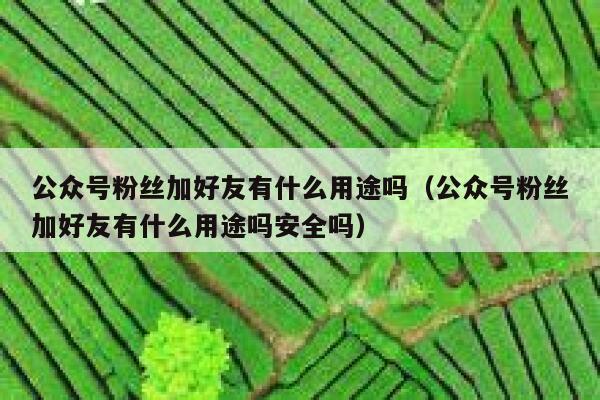公众号粉丝加好友有什么用途吗（公众号粉丝加好友有什么用途吗安全吗） 第1张